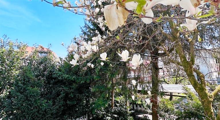 Rental apartment with 1 room for 2 persons in Ljubljana