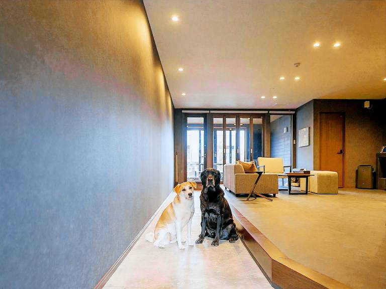 Pleasant house with patio | Pet-friendly — photo 2