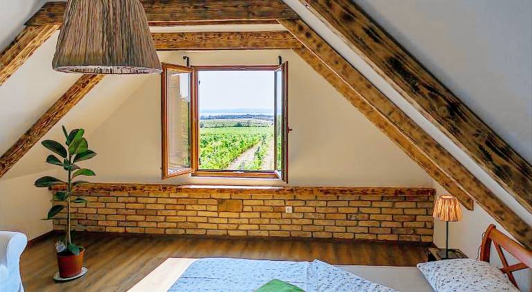 Holiday apartment with terrace & yard | Pets allowed in Balatonfured
