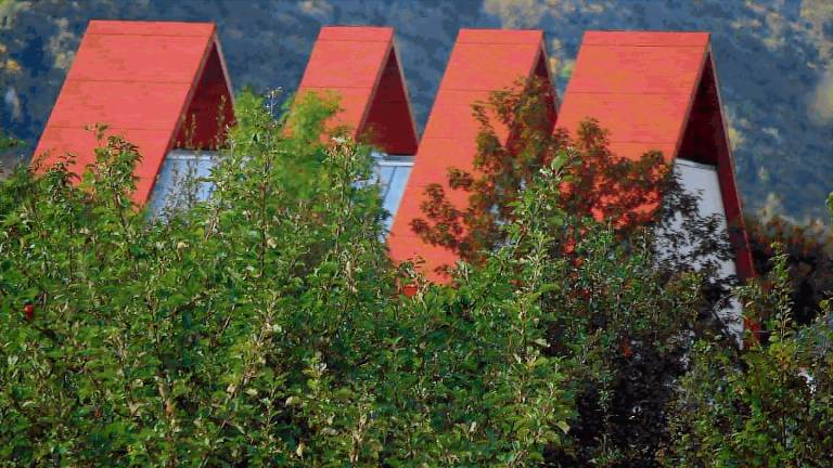 Ferienhaus  Pünderich