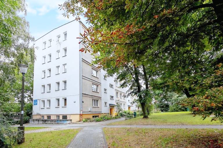 Family-friendly holiday apartment | Pets are welcome — photo 5
