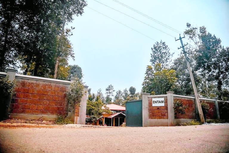 Entam Homestay