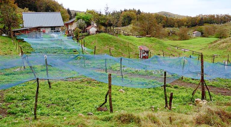 Farm with terrace & yard | Pets allowed — photo 4
