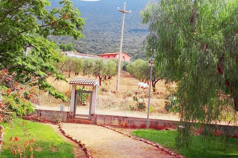 Bed & Breakfast  San Giovanni Rotondo