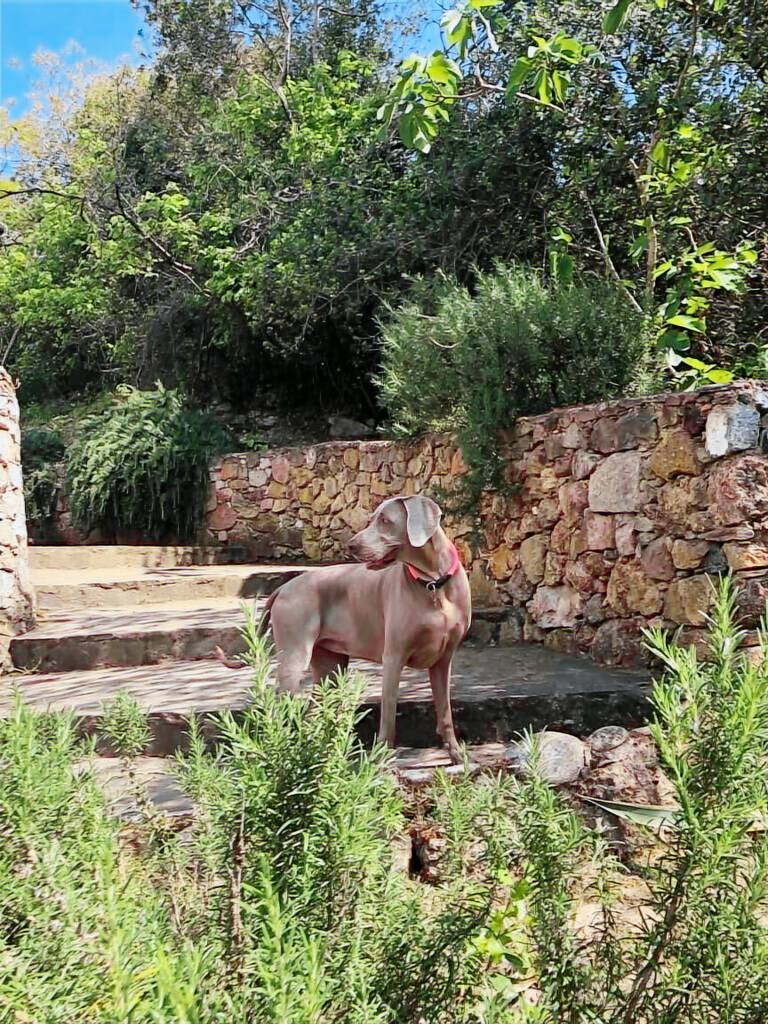 Villa Rio Marina