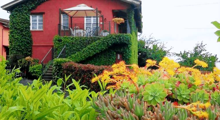 Lovely holiday apartment with patio, pool & garden | Dogs allowed in Alessandria