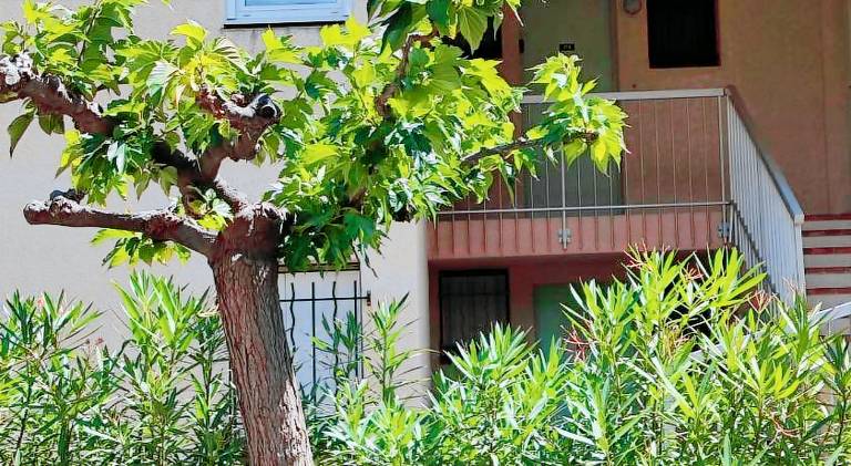 Wonderful holiday apartment with pool | Dogs allowed — photo 5