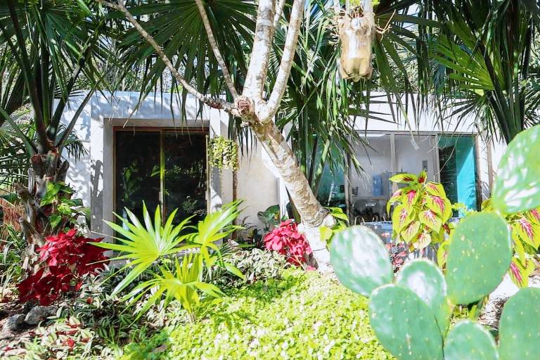 Villa Alebrije with pool near Bacalar lagoon — photo 4