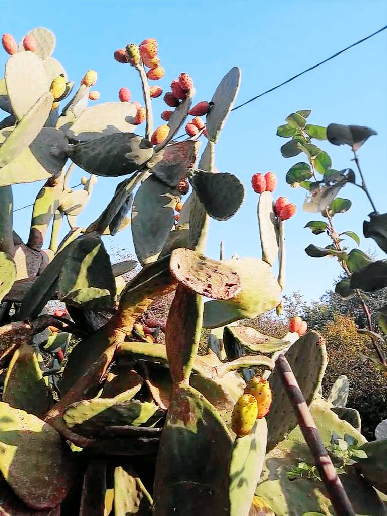foto13