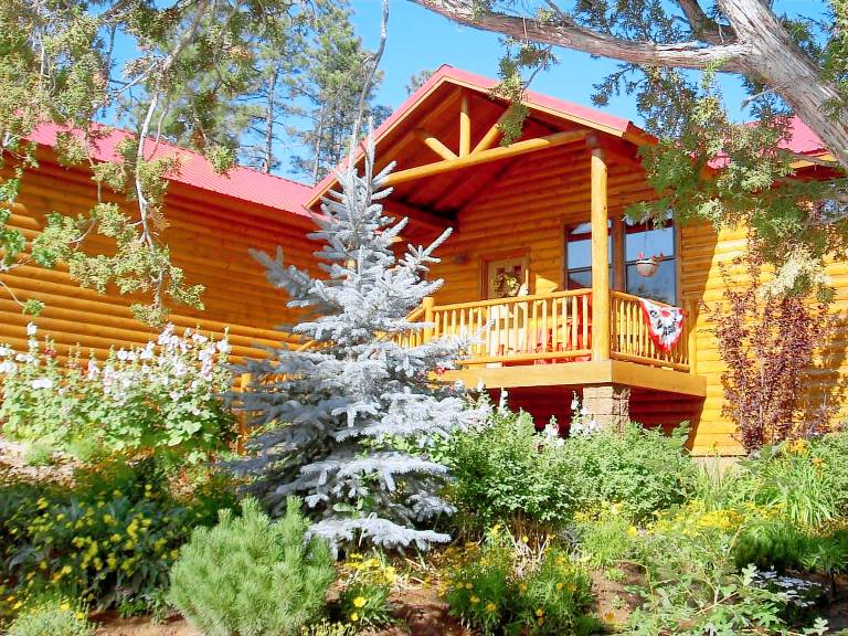 Cabin Show Low