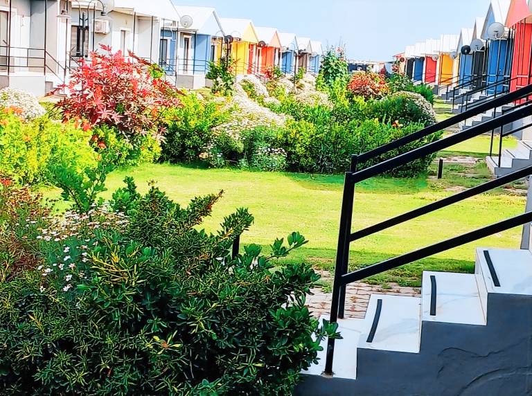 Family-oriented charming bungalow with yard, BBQ & terrace | Water view | Pet-friendly — photo 5