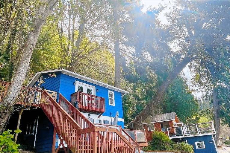 House Vashon