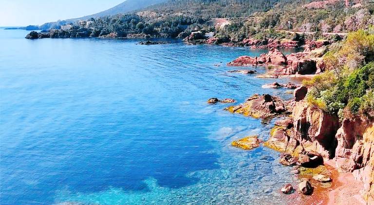 Rental apartment with pool | Pets are welcome in Theoule-sur-Mer
