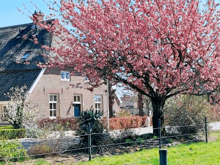 House Nijmegen