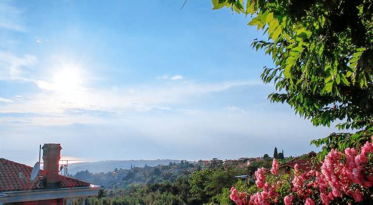 Apartma Šared