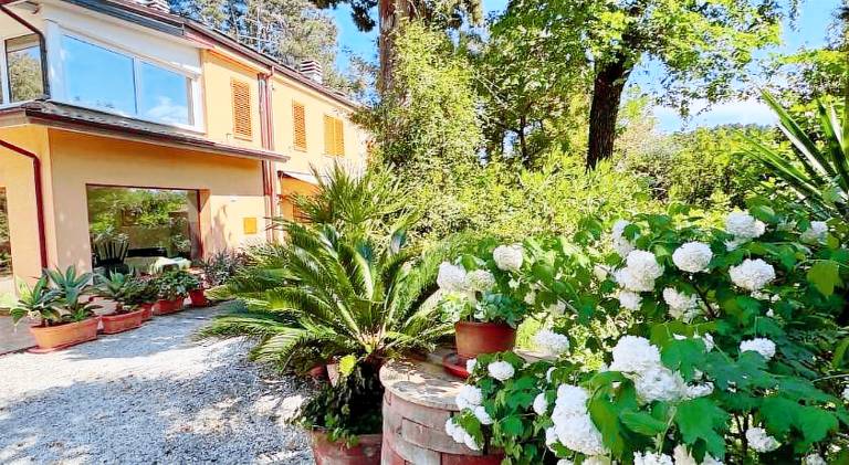 Wonderful house with garden | Pets are welcome — photo 4