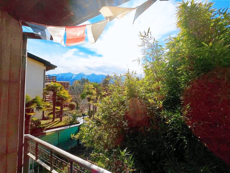 Family-friendly rental apartment with patio, garden & pool | Pool view | Pets are welcome — photo 4