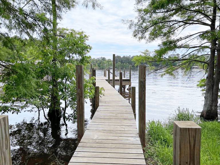 Cabin Many