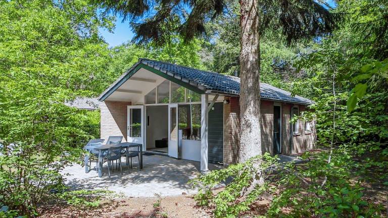Bungalow für 8 Personen 64 m² in Wissel
