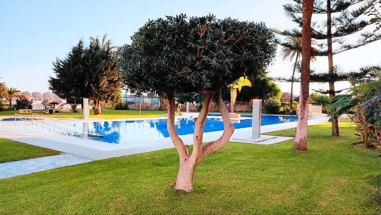 Apartment  Guadalmar