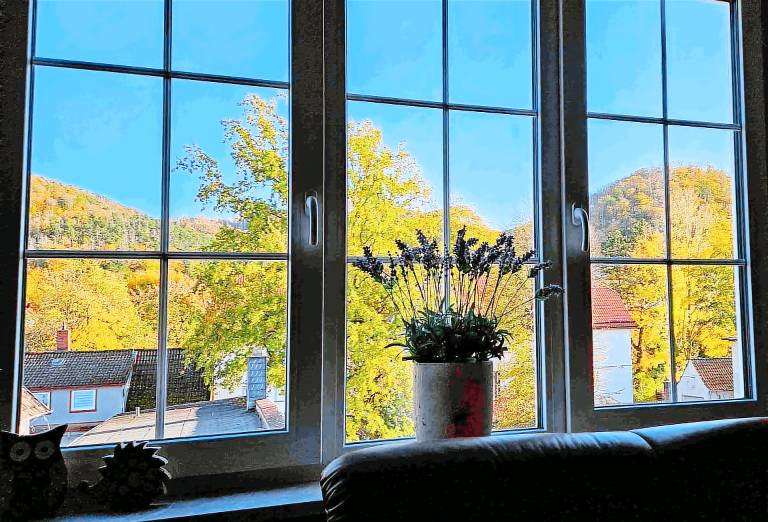 Rental apartment with sauna, terrace & garden — photo 4
