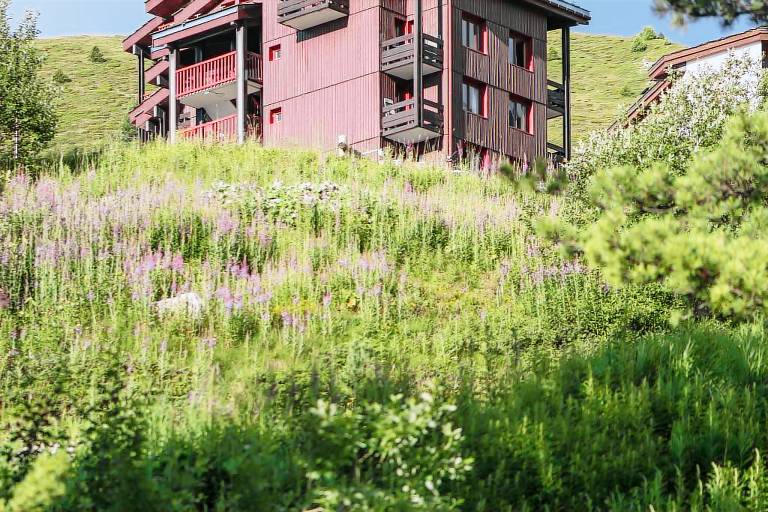Family-oriented holiday apartment with sauna | Pet-friendly in La Plagne-Tarentaise