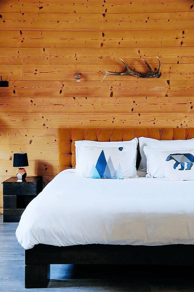 Logement Scionzier