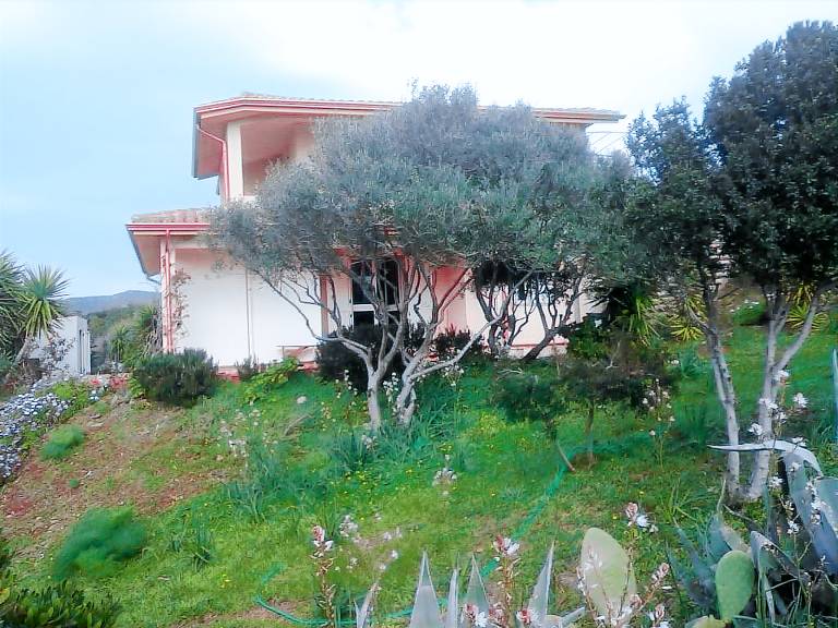 foto1