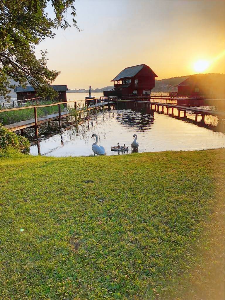 Ferienwohnung Klopeiner See