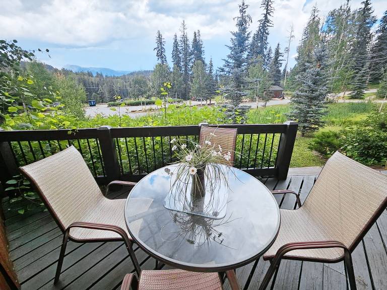 Grand Mountain Getaway (104) Views, Fireplaces, Near Ski, Deck, Dogs, EV — photo 5