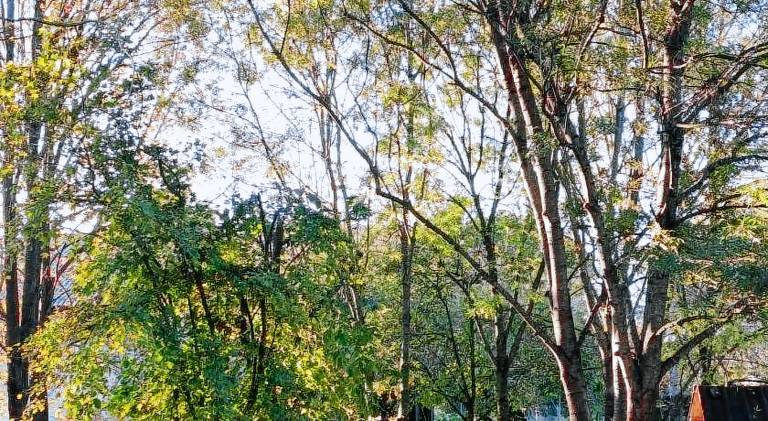 Podere Misericordia — photo 4