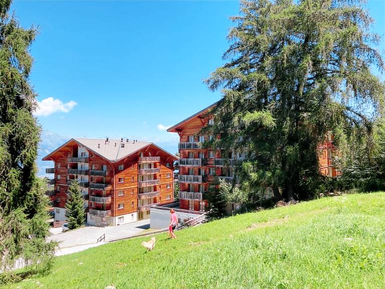 Appartement Nendaz