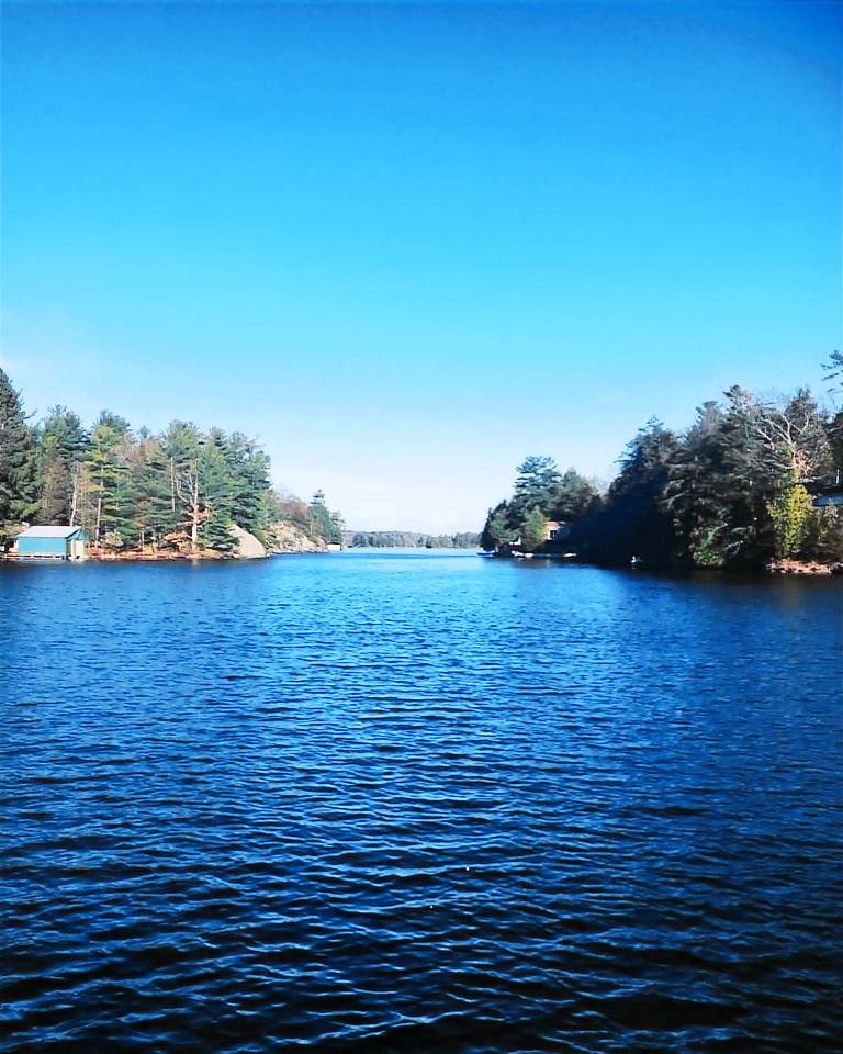Cabin Lansdowne