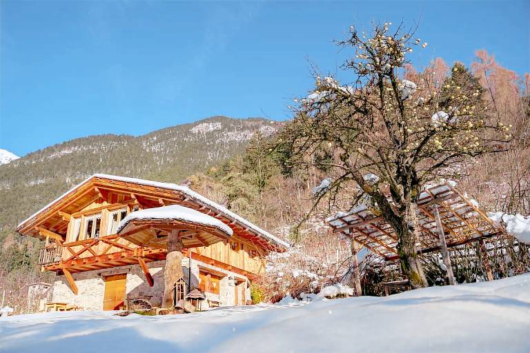 Family-oriented lovely chalet with yard & barbecue | Pets allowed — photo 4