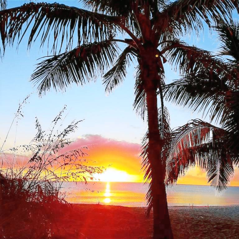 House Manasota Key