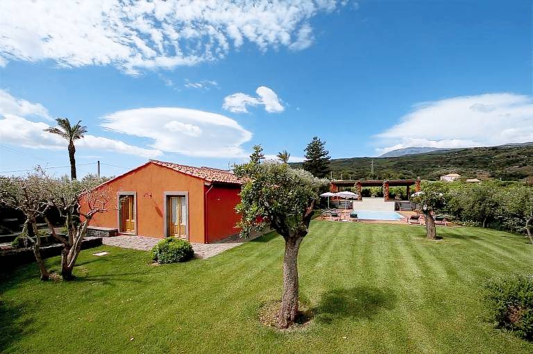 Arrigo: Ulivo — photo 3