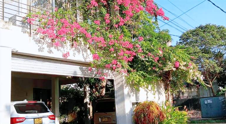 Kelaniya Heritage
