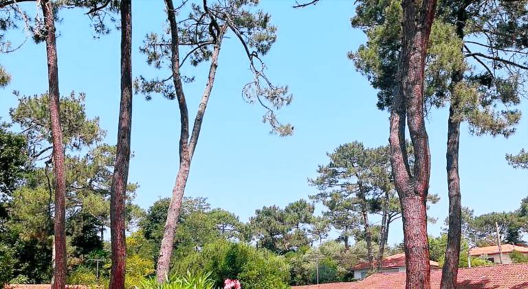 Rental apartment with pool, yard & terrace in Soorts-Hossegor