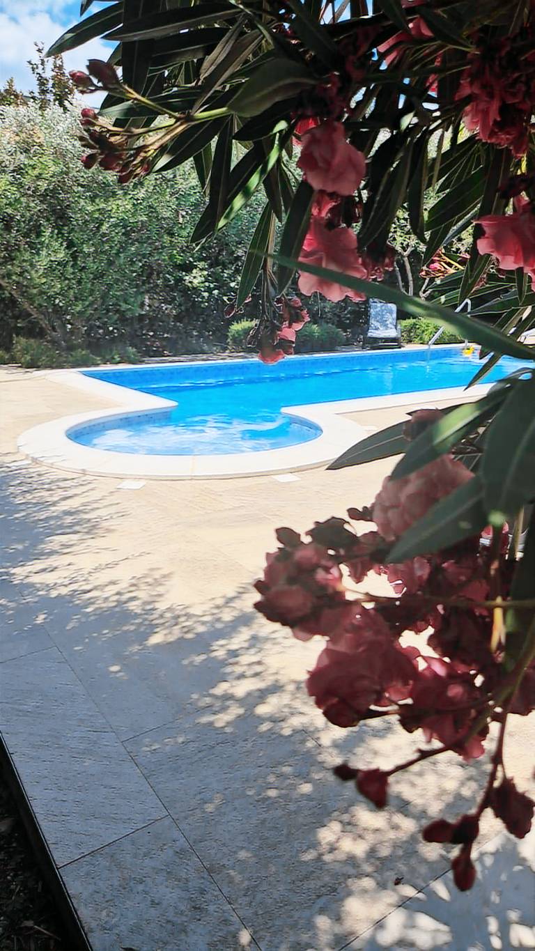 Family-friendly vacation home with garden, hot tub & private pool | Mountain view | Dogs allowed — photo 5