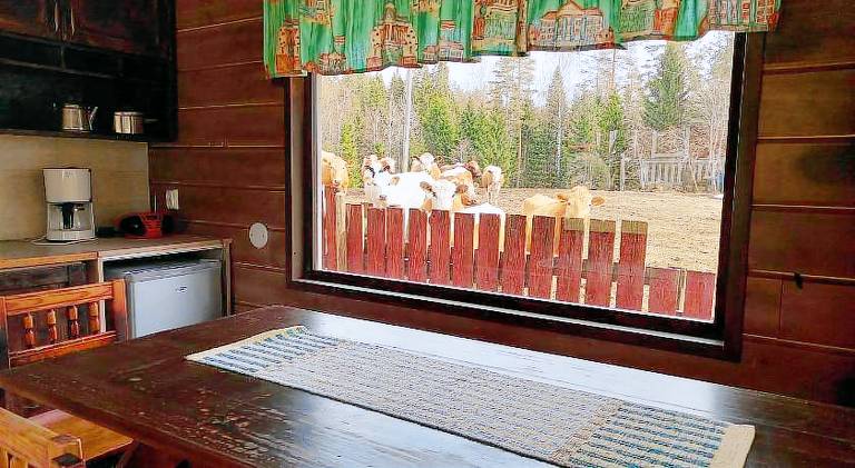 Vacation home | Pets are welcome — photo 4