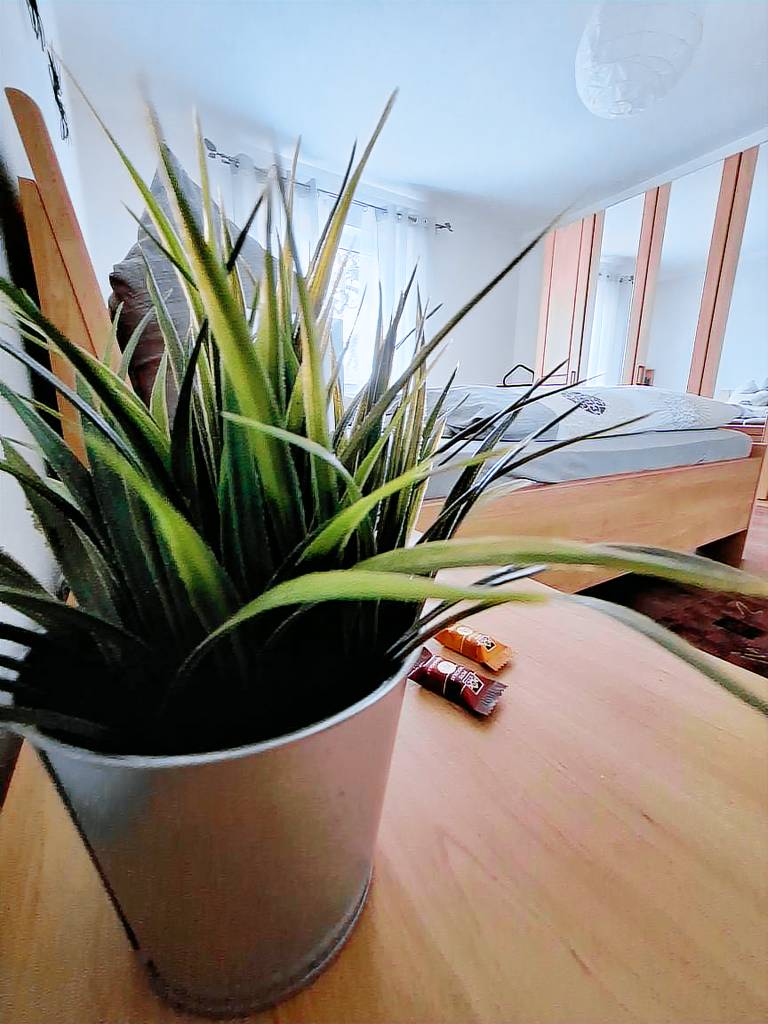 foto2