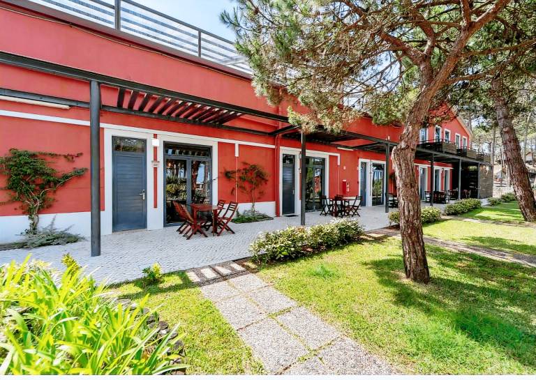 Serene Nature Retreat in Pine Forest Reserve Near Nazaré, Portugal with Access to Stunning Coastal Beaches in Leiria