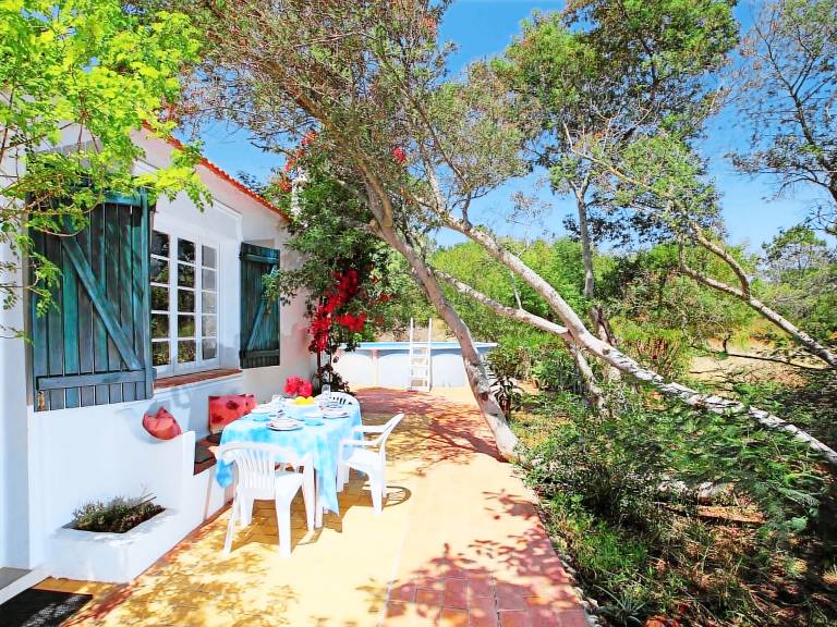 Nice vacation home with barbecue | Pets are welcome — photo 4