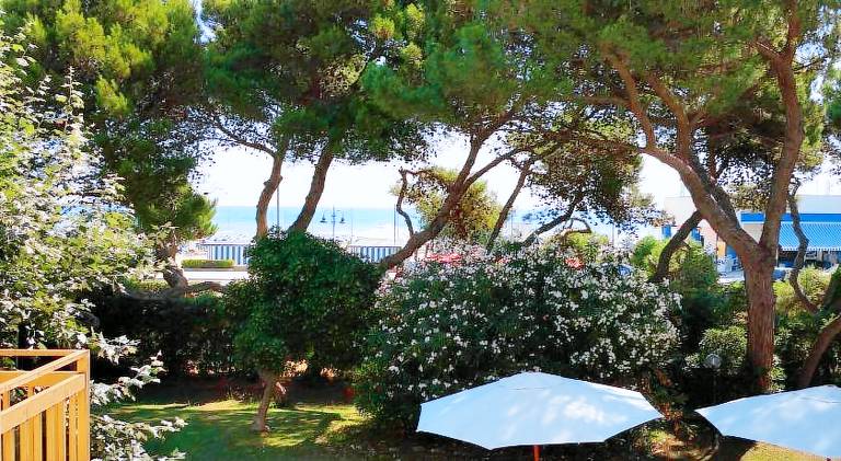 B&B Il Parco Dei Pini — photo 4