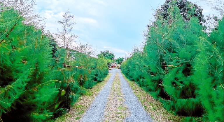 North Pine Forest Homestay & 224;& 184;& 154;& 224;& 185;& 137;& 224;& 184;& 178;& 224;& 184;& 153;& 224;& 185;& 132;& 224;& 184;& 161;& 224;& 185;& 137;& 224;& 184;& 170;& 224;& 184;& 153;& 224;& 185;& 130;& 224;& 184;& 174;& 224;& 184;& 161;& 224;& 184;& 170;& 224;& 185;€& 224;& 184;& 149;& 224;& 184;& 162;& 224;& 185;& 140;