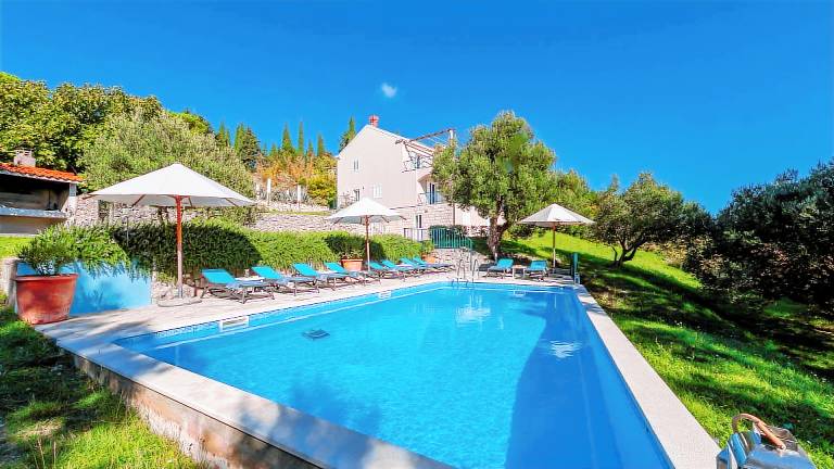 Fully equipped spacious villa with terrace, yard & private pool | Pets are welcome in Zupa dubrovacka
