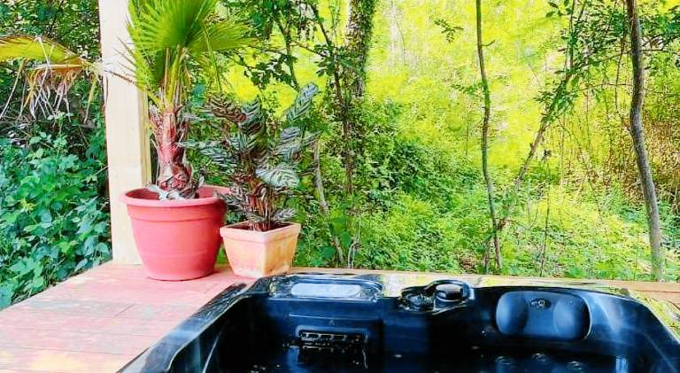 Lodge with garden, terrace & jacuzzi | Pet-friendly — photo 5