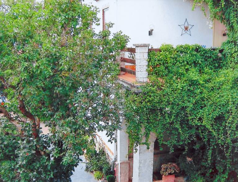 foto11