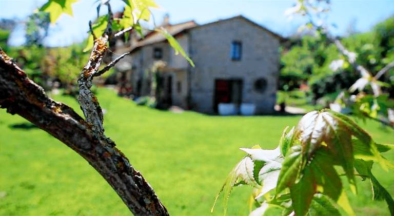 CASTAGNA DULCIS in Abbadia San Salvatore