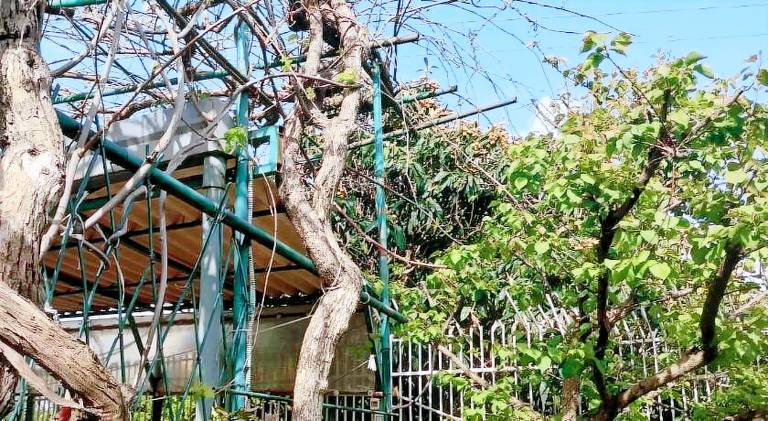 Vacation home with 2 rooms for 4 persons — photo 5